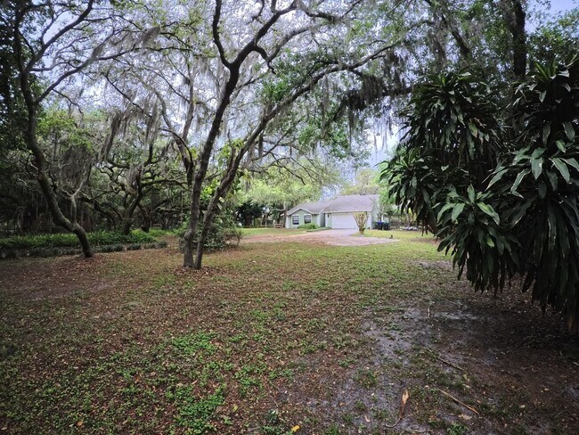Photo - Rural Living in the heart of Lake Nona