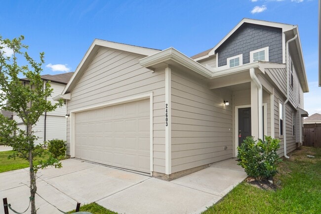 Building Photo - 24603 Porta Borsari Dr Rental