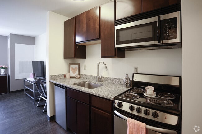 1BR, 1BA - 310SF - Kitchen - Hudson Lofts