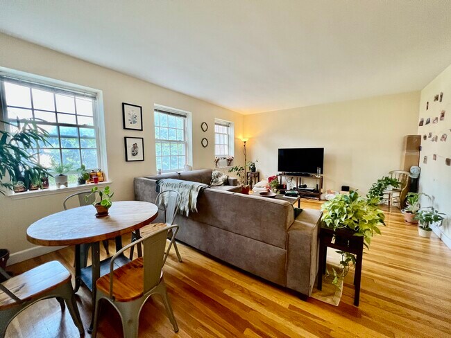 36 Browne St Unit 3