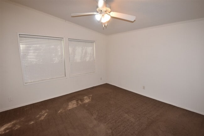 Photo - 10007 Elderberry Park Ln