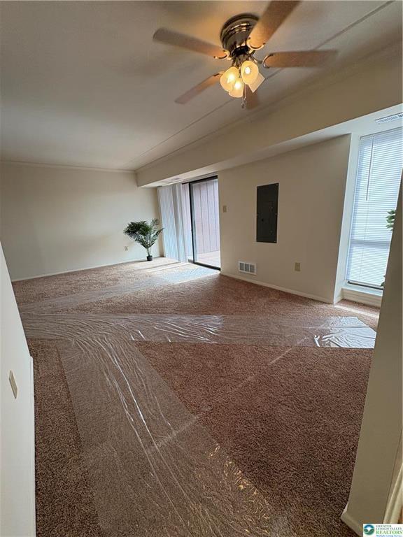 Photo - 911 George St