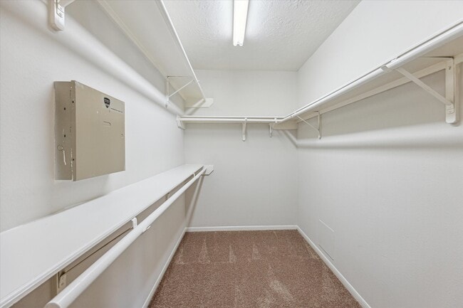 Photo - 6114 Fox Wind Ct