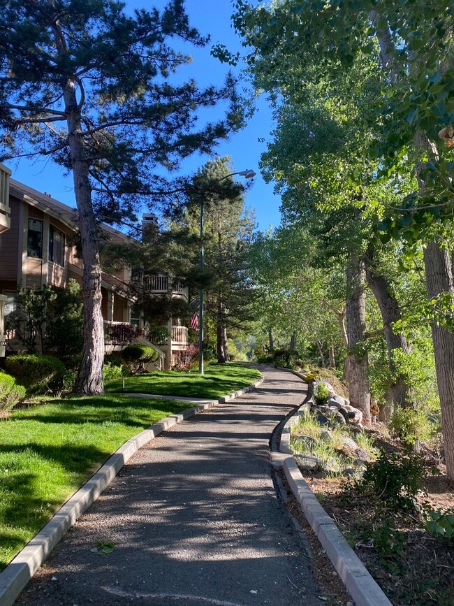 Photo - 2875 Idlewild Dr Unit 12