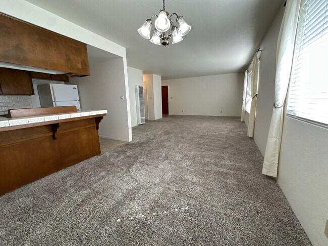 Photo - Available February 7th.