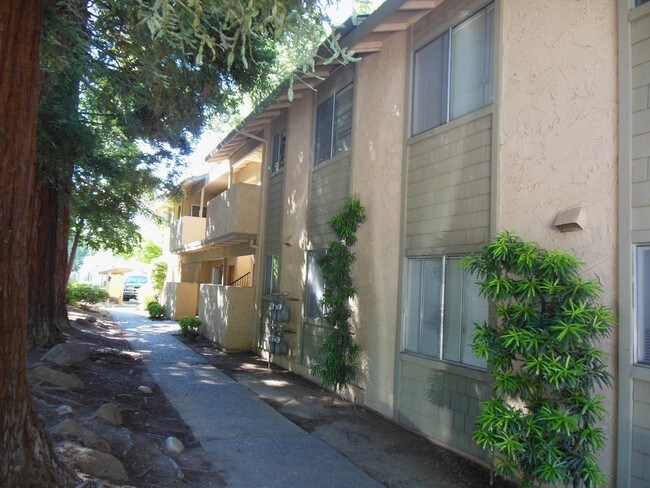 Photo - Villa Del Sol