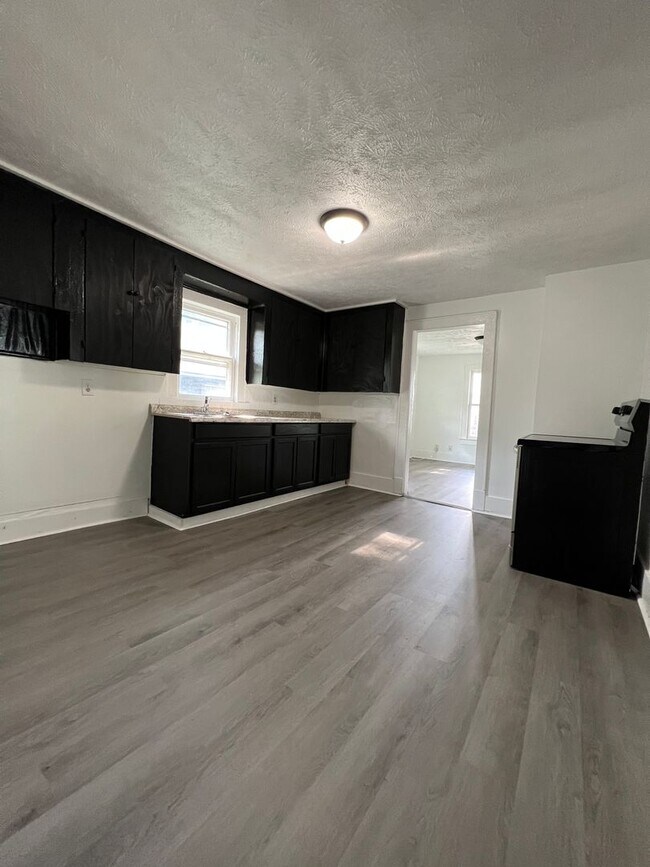 Completely renovated 1 bedroom home! Rental For Rent in Springfield, MO