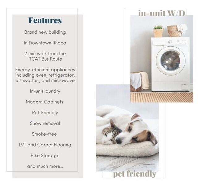 Photo - LIV at 327 W Seneca