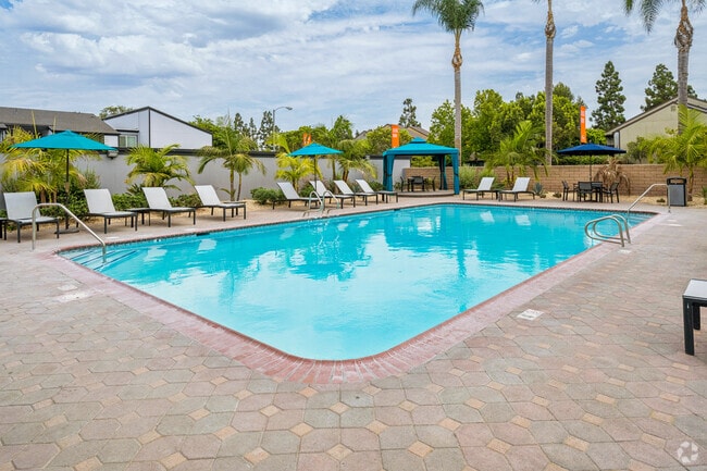 Piscina y spa