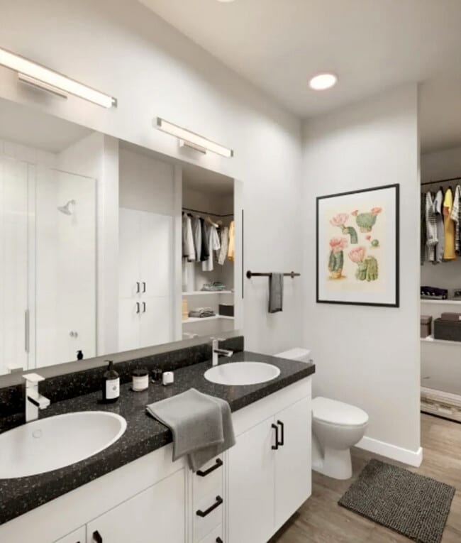 Photo - The Governor