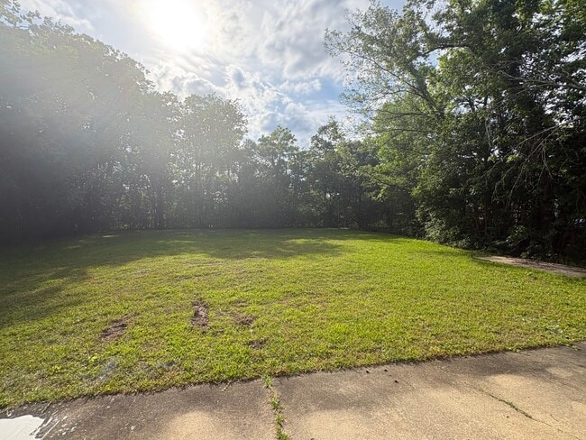 Photo - 3264 Hackberry Ln