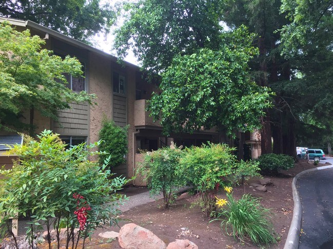 Photo - Villa Del Sol