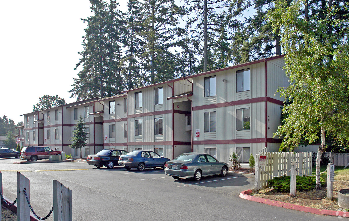 Springtree Apartments - Springtree Apartments