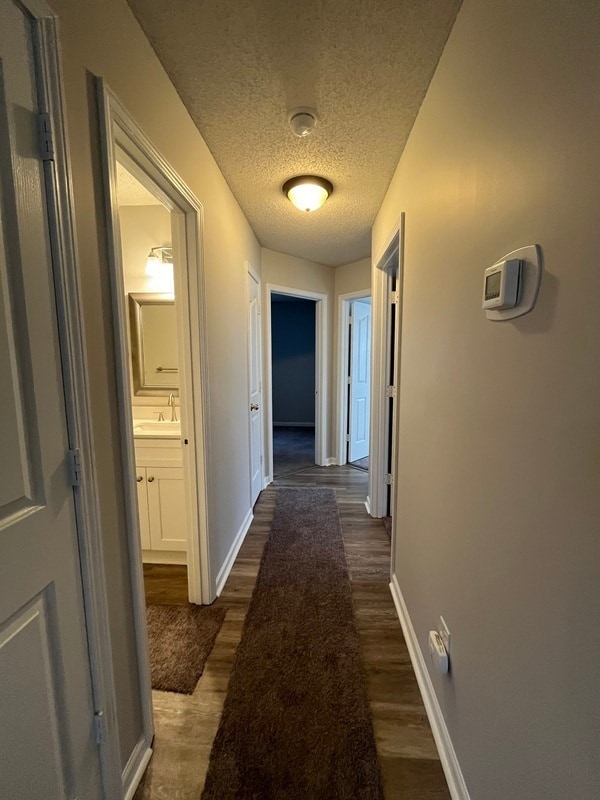 Photo - 12131 Brownestone View Dr