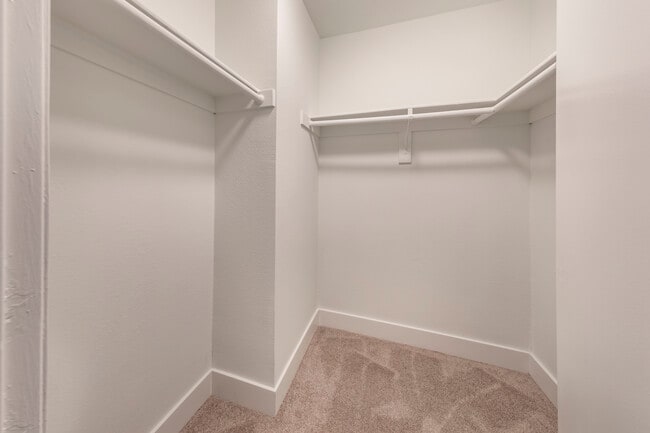 Renovated Package I closet