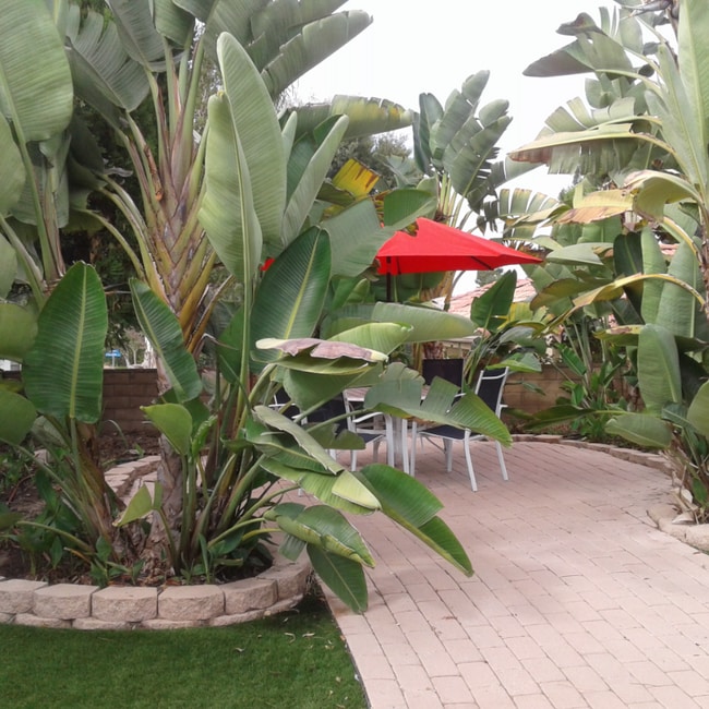 Photo - 2696 Magellan Ln