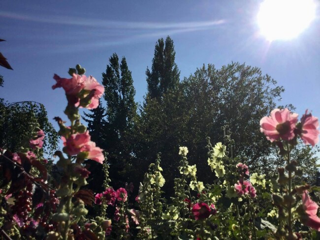 Photo - 150 Claffey Dr