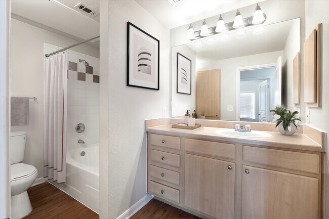 Avana SoCo Apartments For Rent in Austin, TX