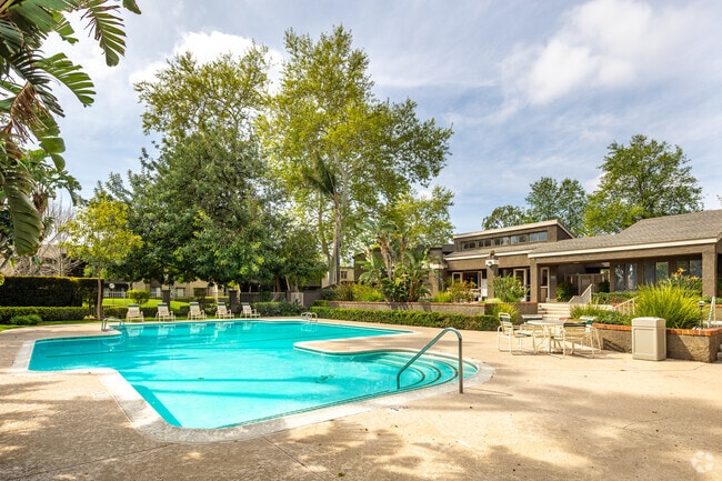 Piscina y spa - Sunrise Apartments