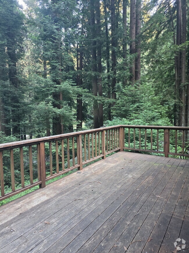 Building Photo - Charming Private Cottage in the Redwoods Rental