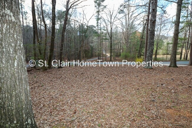 Photo - Adorable Home in Cook Springs