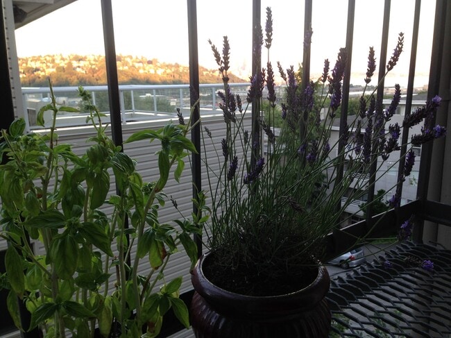 Photo - 2200 Thorndyke Ave W Unit 306