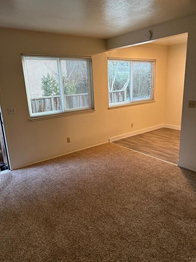 Photo - 133 Walti St