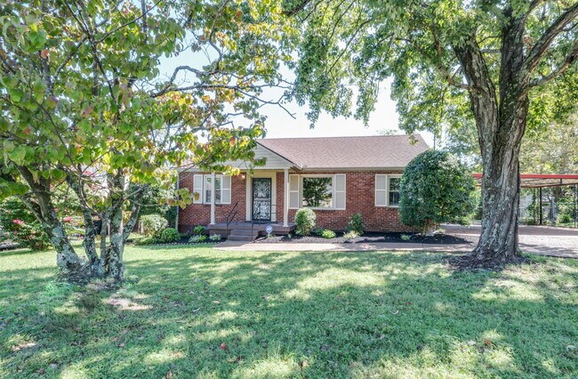 Photo - 3314 Mimosa Dr