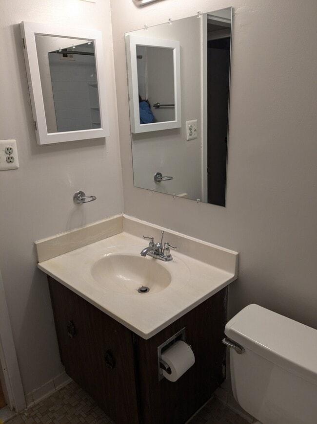 Bathroom Sink and Vanity - 6001 Arlington Blvd Unit 112