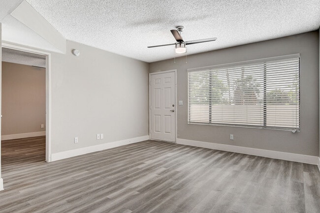 Photo - Tides On Indios