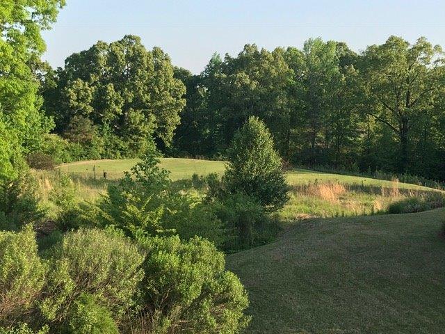 Photo - 1100 Augusta Dr Unit 1100 AugustaDrive704