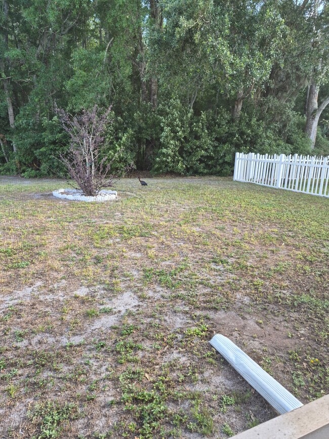 8136 Matthew Dr