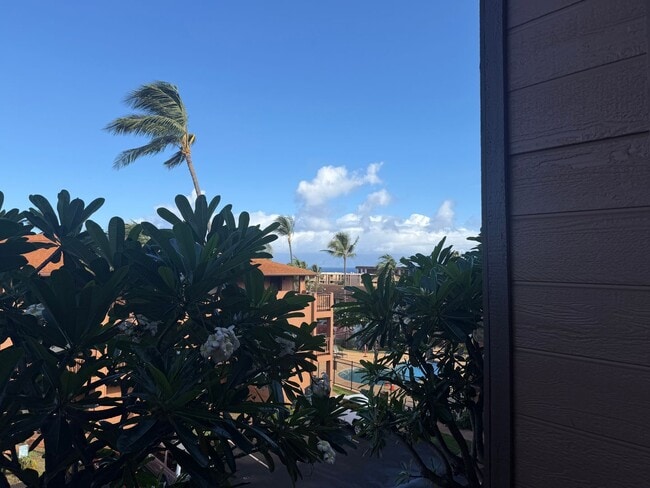 Photo - Lahaina Condo W/ Pool