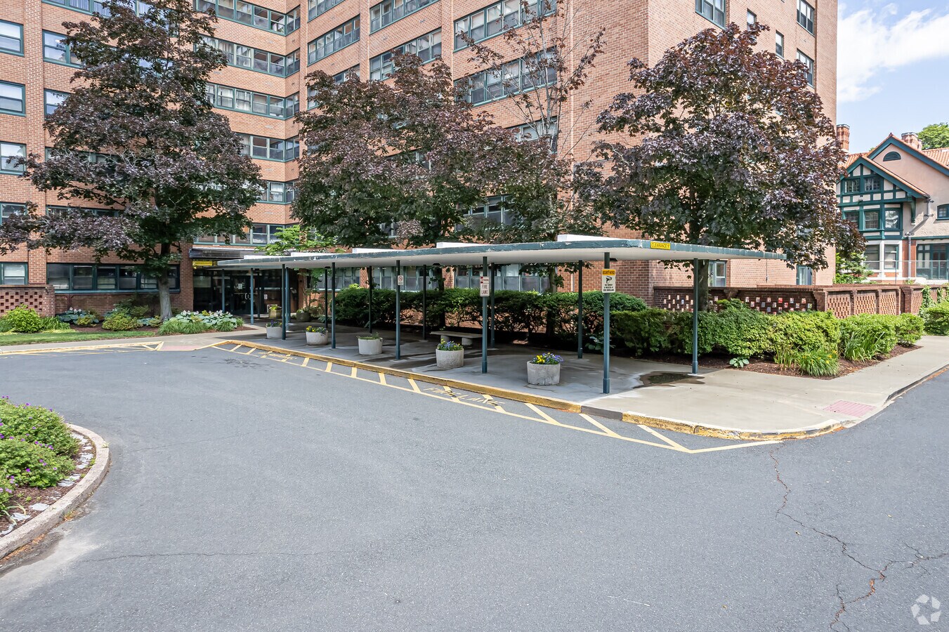 Photo - The Woodland