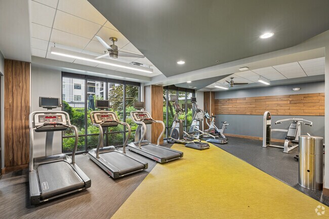 Gimnasio