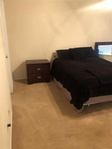 Photo - 3137 Stone Forest Cir