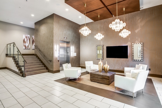 Photo - Ash at the Branch