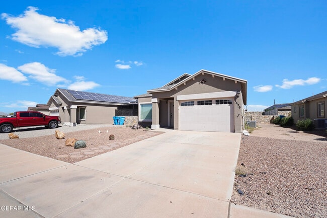 Photo - 11629 Flor Achillea