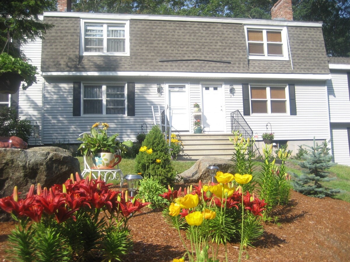 Photo - Boxford Woods