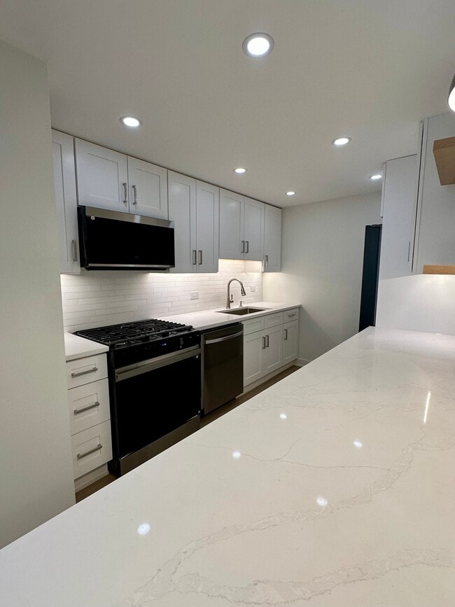 Building Photo - 2800 N Lake Shore Dr Unit 2603