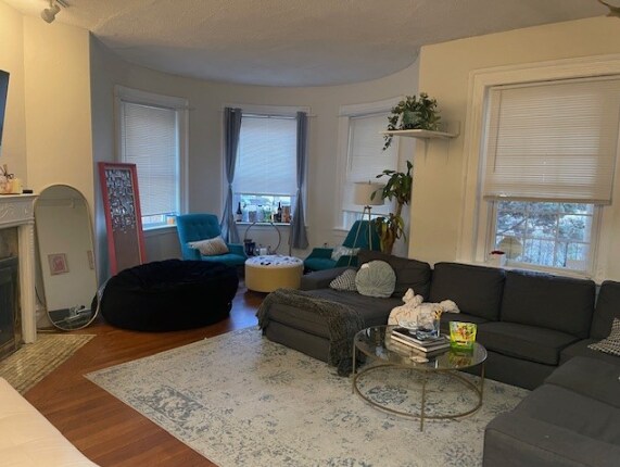 Photo - 186 Naples Rd