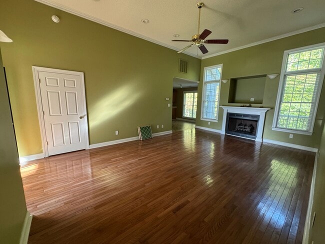 Photo - Available to show!