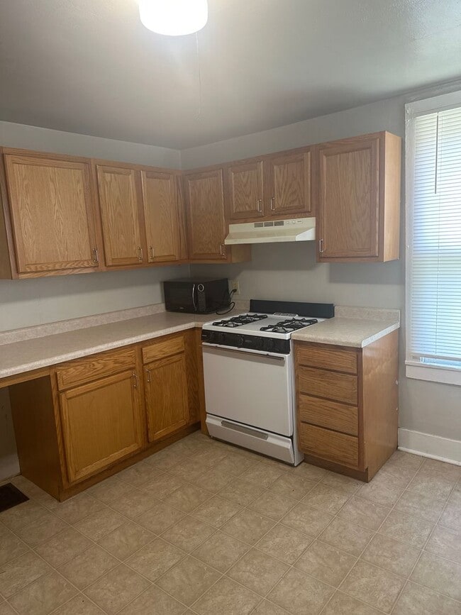 Building Photo - 212 W Illinois St Unit 1 Rental