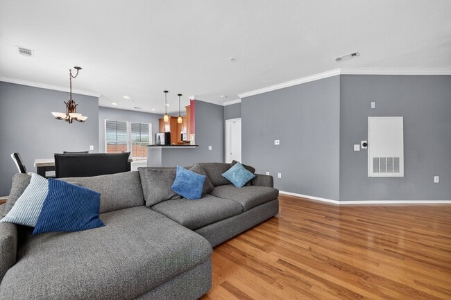 Photo - 11800 Old Georgetown Rd