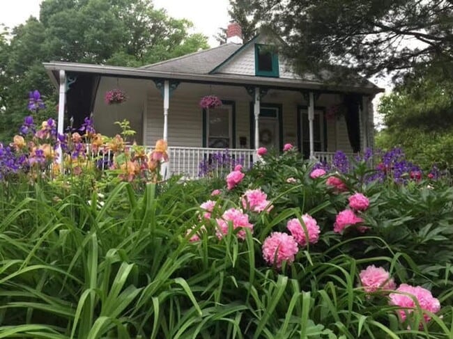 Photo - Charming and Sunlight 3BD, 1 BA in the Quaint DC Suburb of Mount Rainer, MD!!!