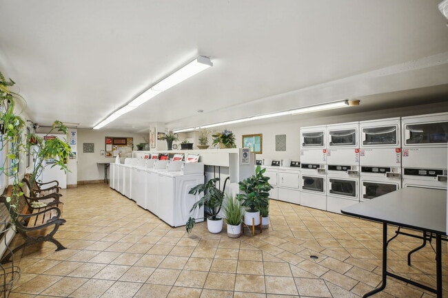 23930 Copa Pacific Apts LLC
