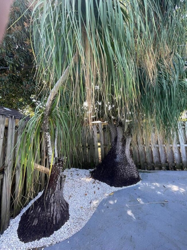 Building Photo - 2620 NE 19th St