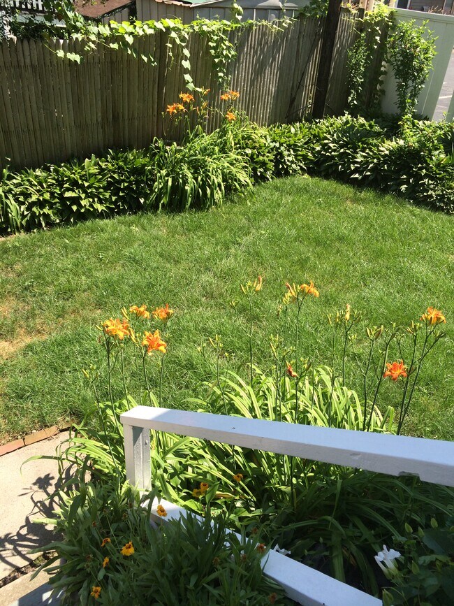 Back yard - 38 Saint Margaret St Unit #1