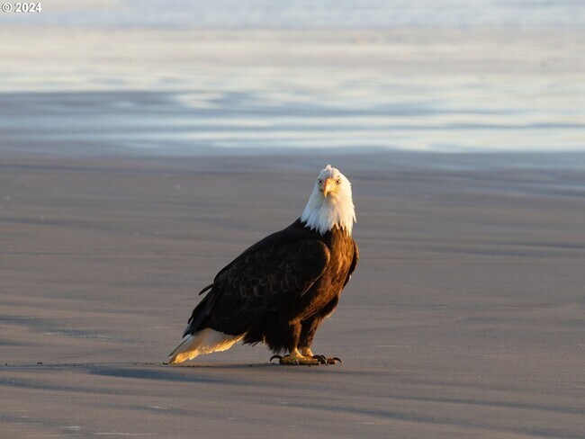 Photo - 849 1st Ave Unidad A