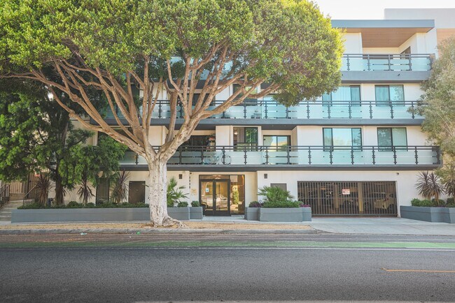 1115 SM Apartments